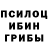 Псилоцибиновые грибы Magic Shrooms Timotfey ponamaryv