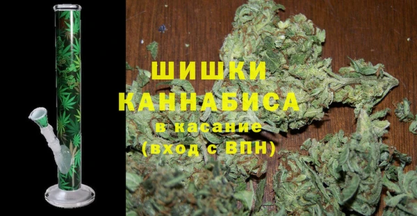 мдпв Богородицк