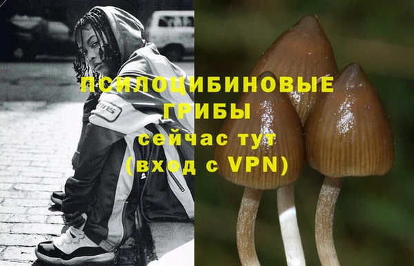 соль ск Богданович