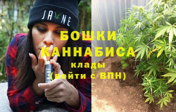 соль ск Богданович