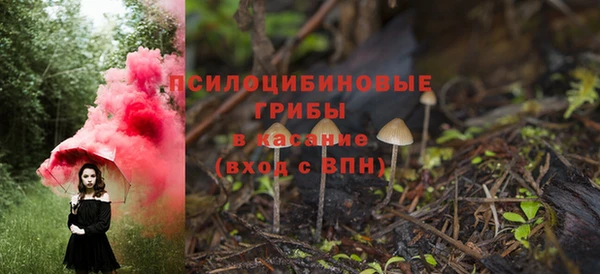 COCAINE Богородск