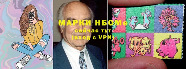 мдпв Богородицк
