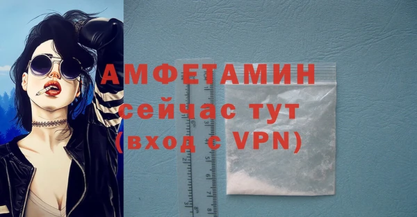 мдпв Богородицк