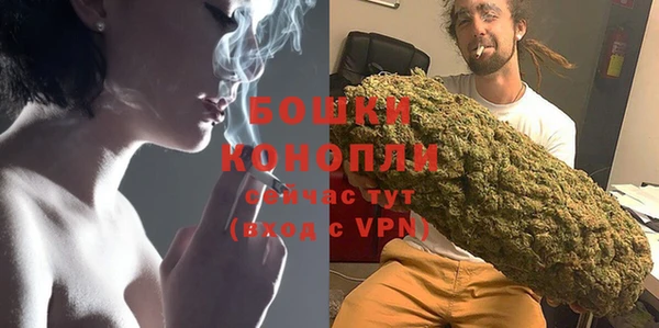 соль ск Богданович