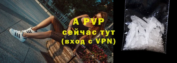 соль ск Богданович