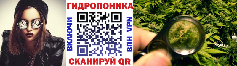Купить закладки  Медынь  Каннабис тримм 